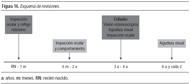 Figura 16. Esquema de revisiones.