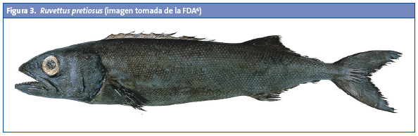 Figura 3. Ruvettus pretiosus (imagen tomada de la FDA)