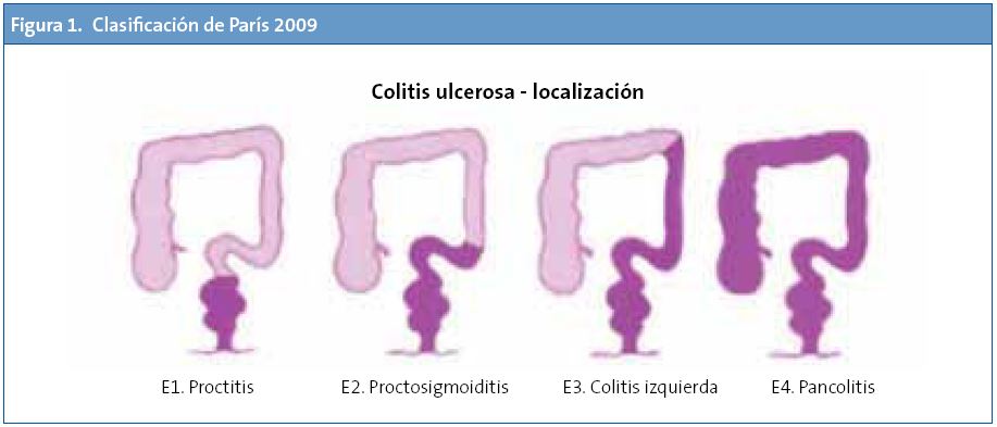 Figura 1. Clasificación de París 2009