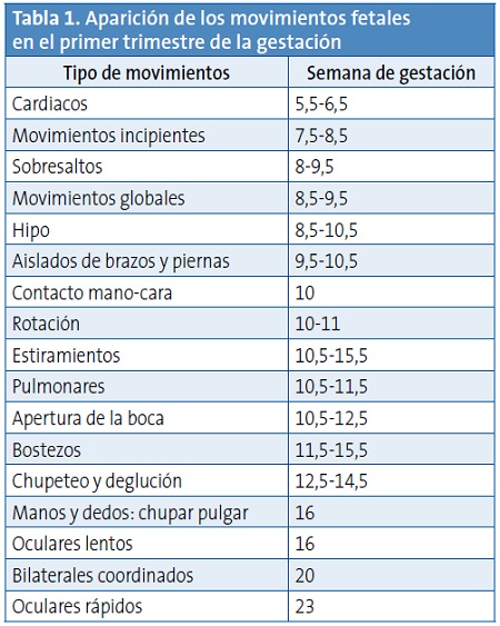 Tabla 1. Aparición de los movimientos fetales en el primer trimestre de la gestación