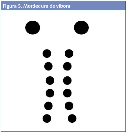 Figura 5. Mordedura de víbora