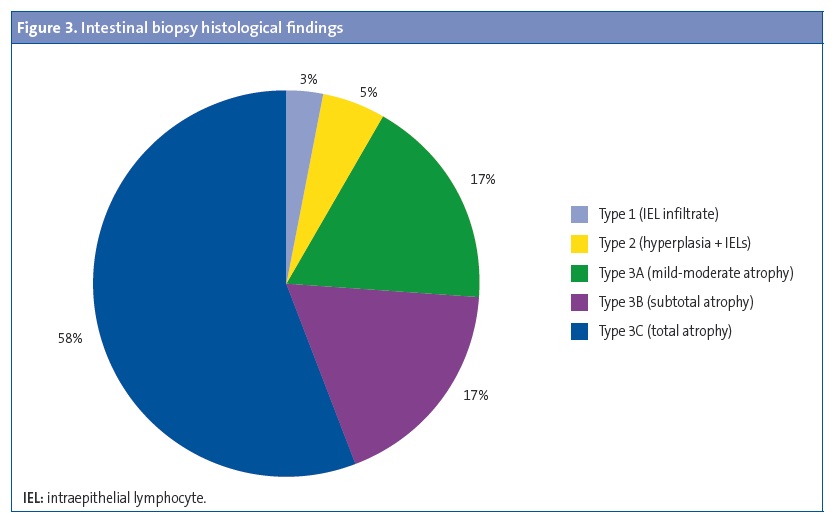 Figure 3. Intestinal biopsy histological findings