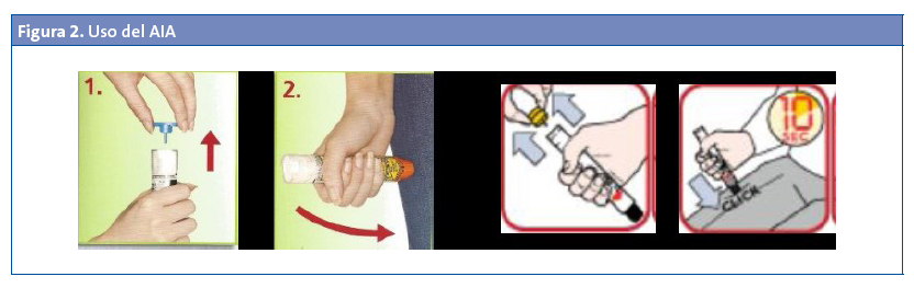 Figura 2. Uso del AIA