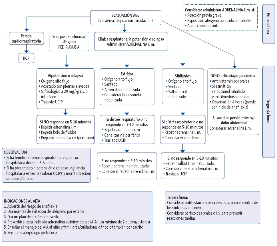 Figura 1. Algoritmo de actuación anafilaxia pediátrica