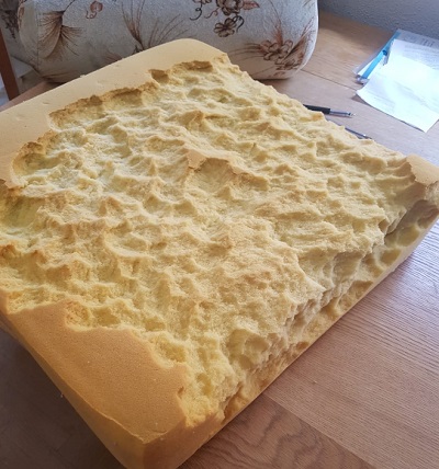 Figura 1. Imagen de un cojín sometido al efecto de la pica