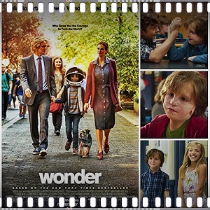Wonder