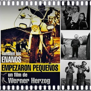 También los enanos empezaron pequeños