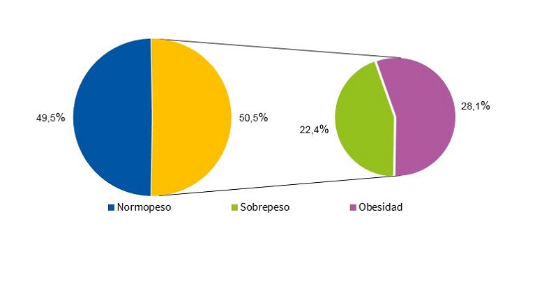 Figura 2. Distribución porcentual del Z-IMC en mujeres de acuerdo con el criterio OMS (n = 174)