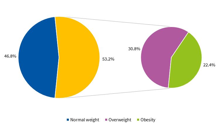 Figure 1. Percent distribution of BMI z-scores in boys based on the WHO criteria (N = 143)
