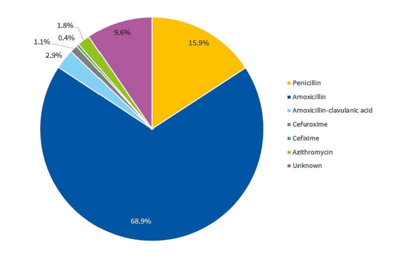 Figure 2. Chart of prescribed antibiotic agents