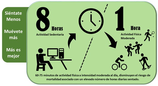 Figura 1. Promoción de la actividad física