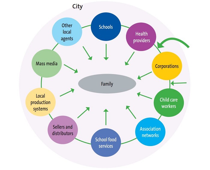 Figure 1. THAO programme. Action agents