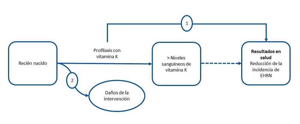 Figura 1. Marco analítico para la formulación de las preguntas. Adaptado del USPSTF con autorización