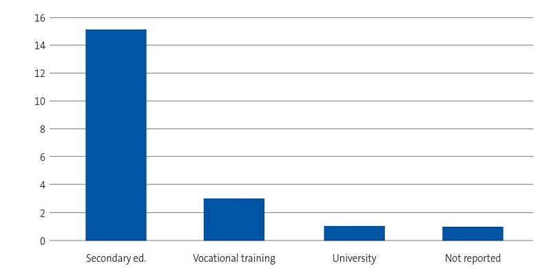 Figure 3. Study on the concerns, beliefs and needs of families of children with sickle cell disease. Educational attainment of interviewees