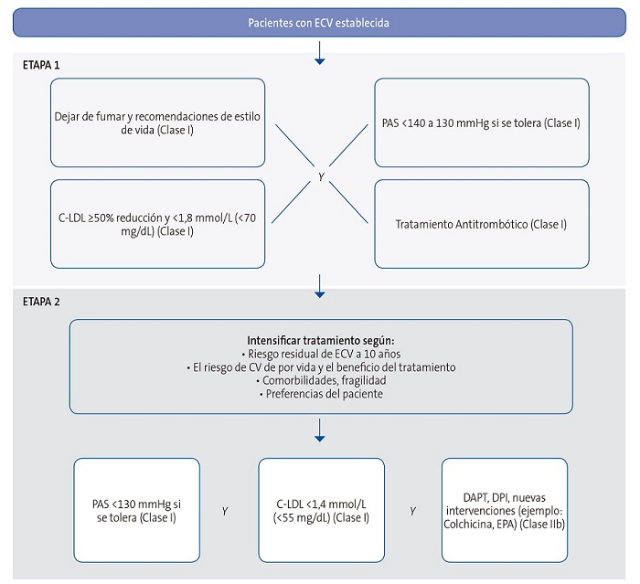 Figura 2. Algoritmo de objetivos terapéuticos y tratamiento farmacológico en pacientes con enfermedad vascular establecida