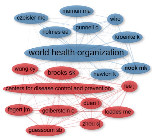 Figura 1. Estructura intelectual de los veinte autores más citados en publicaciones sobre el comportamiento suicida en niños y adolescentes durante la pandemia de COVID-19.