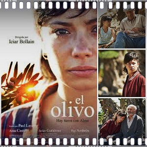 Figura 16. El olivo (Icíar Bollaín, 2016)