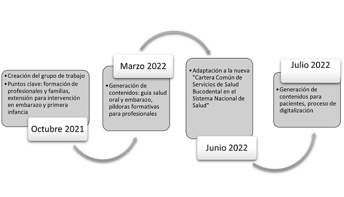 Figura 1. Cronograma de trabajo del Grupo Interdisciplinar de Odontopediatría.