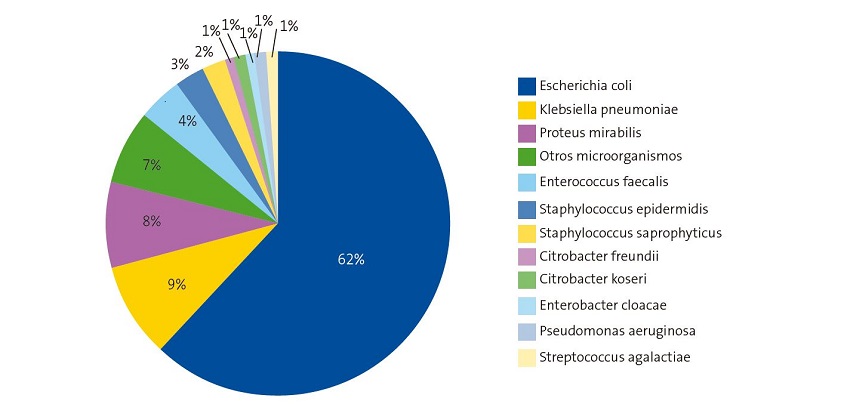 Figure 1. Aetiology of urinary tract infection (study period 2020-2021)