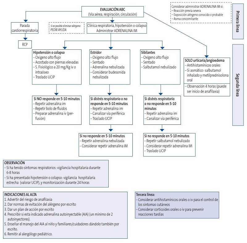 Figura 1. Protocolo de actuación ante una anafilaxia en Atención Primaria