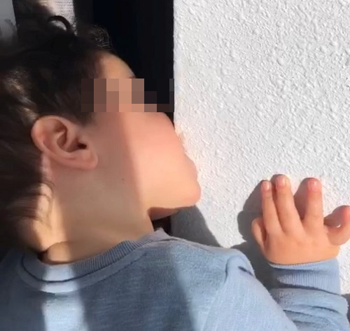 Figura 1. Paciente mordisqueando una esquina de la pared de su casa