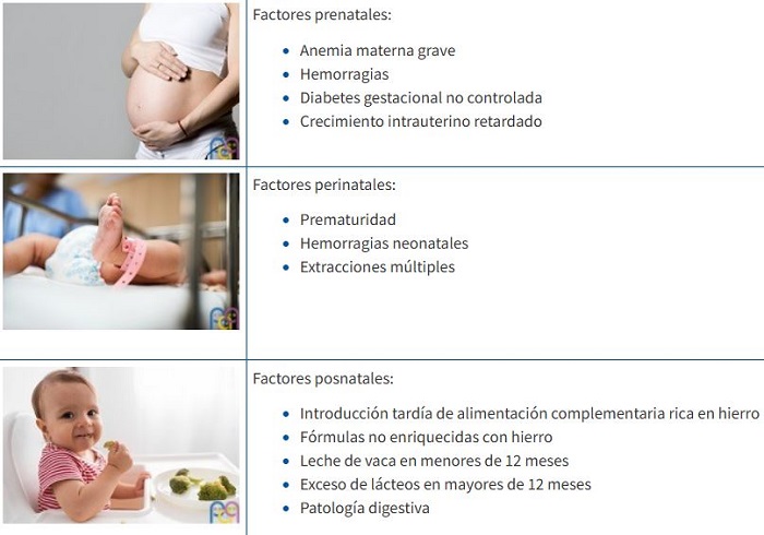 Figura 1. Factores de riesgo de ferropenia