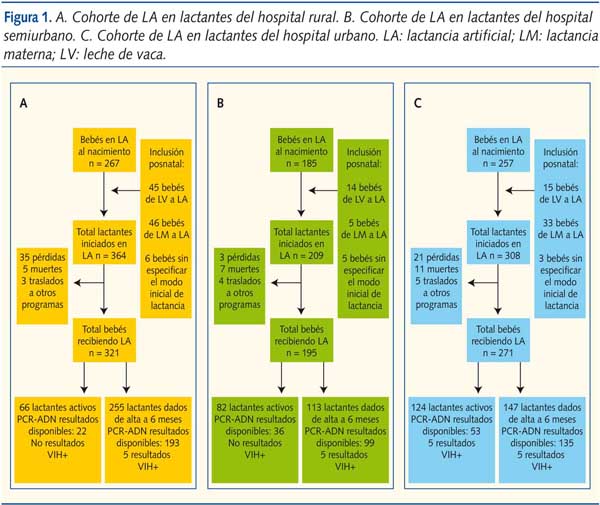 Figura 1. A. Cohorte de LA en lactantes del hospital rural. B. Cohorte de LA en lactantes del hospital semiurbano. C. Cohorte de LA en lactantes del hospital urbano. LA: lactancia artificial; LM: lactancia materna; LV: leche de vaca.