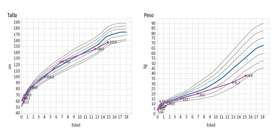 Figura 1. Datos antropométricos