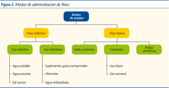 Figura 2. Modo de administración de Flúor