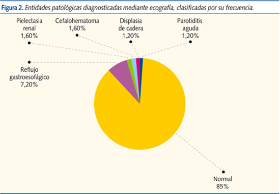 Figura 2. Entidades patológicas diagnosticadas mediante ecografía, clasificadas por su frecuencia.